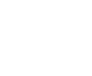 Evolution games at Won Line Casino